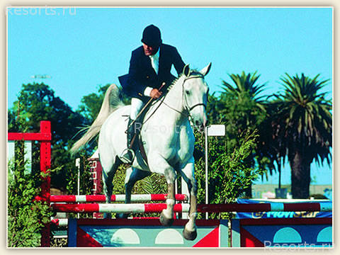 Villa Jerez 35